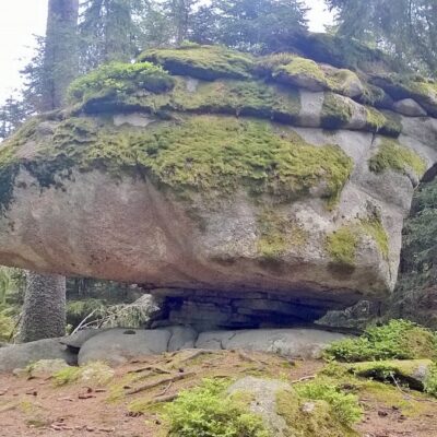 Bärenpfadwanderung thumbnail