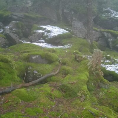 Mystische Osserwanderung thumbnail